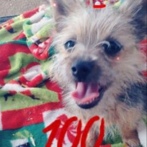 Meet your Posher, Odalis